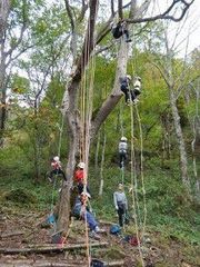 ツリーイング体験