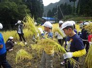 どこに持っていくの