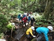 沢登り