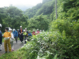 沢登り①ここが入口