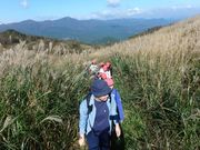 ススキの道を歩く