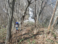 急斜面も登ります