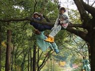 木登り楽しー！