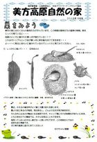 6月　
