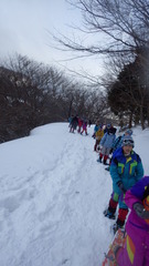 スノーシューハイク　雪の森の世界へ