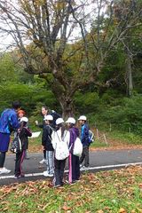 オリエンテーリング