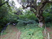 オリエンテーリング②