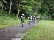 森を駆け抜ける