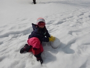 雪だるまといえば