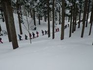 森のさらに奥へ