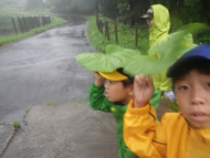 豪雨を体験、雨濡れハイクへ