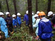 林業体験②