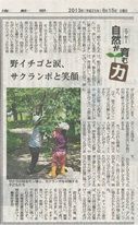野いちごと涙、サクランボと笑顔