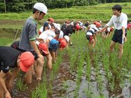 7月3日草取り