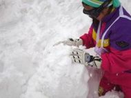 今日の雪