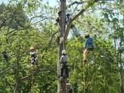 どんどん登ります