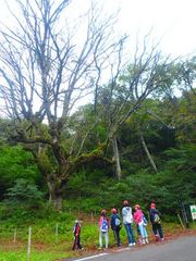 オリエンテーリング