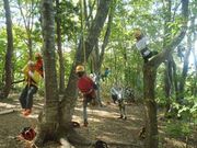 昨日のツリーイング1