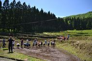 田植え日和