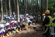 林業体験