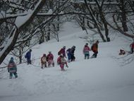 森に入ってみよう